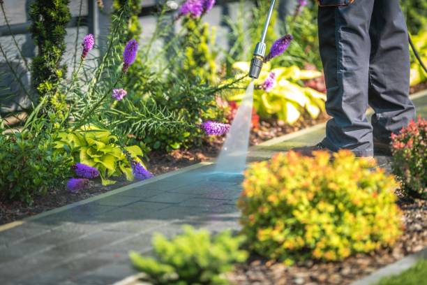 Best Fence Cleaning  in Pinole, CA
